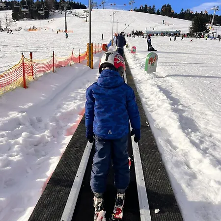 Adam-ski Zieleniec
