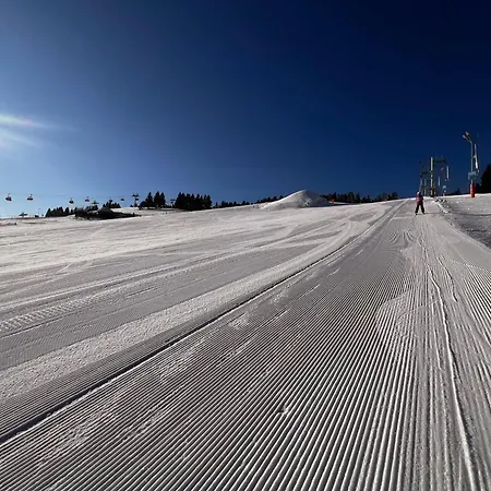 Adam-ski Zieleniec Duszniki Zdrój