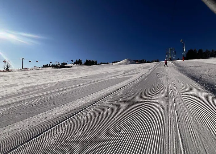 Adam-ski Zieleniec Duszniki Zdrój
